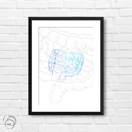 Anatomy Hand Drawn Outline Intestine Print